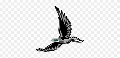 South Walton Logo - Flying Eagle Die Cut Vinyl Decal