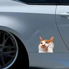 2sheets Laser PET Waterproof Car Stickers Die Cut Vinyl Decal