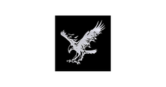 ISEE 360® Car Die Cut Vinyl Decal