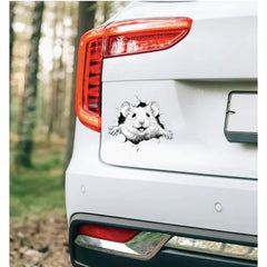 Adorable Mouse Peeking Through Wall Car Sticker Die Cut Vinyl Decal/ Bumper For Windows, Cars, Trucks, Laptops, Etc.