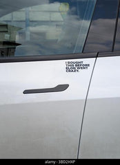 I bought this before Elon went crazy sticker Die Cut Vinyl Decal