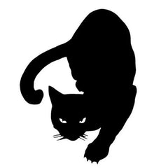 Simple Pet Cat Car Personality Reflective Sticker. Die Cut Vinyl Decal/ Bumper For Windows, Cars, Trucks, Laptops, Etc. (Copy) (Copy)