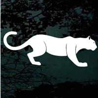 Stalking Panther Decals | Die Cut Vinyl Decal