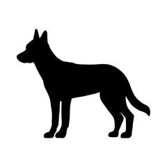 Belgian Malinois Vinyl Die Cut Vinyl Decal/ Bumper For Windows, Cars, Trucks, Laptops, Etc.