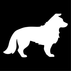 Border Collie Vinyl Die Cut Vinyl Decal/ Bumper For Windows, Cars, Trucks, Laptops, Etc.