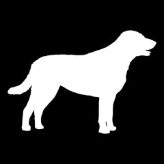 Chesapeake Bay retriever Vinyl Die Cut Vinyl Decal/ Bumper For Windows, Cars, Trucks, Laptops, Etc.