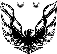 Pontoon Decals Trans Am Eagle Decal Die Cut Vinyl Decal