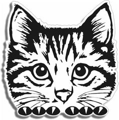 Car Window Decal Pickle Die Cut Vinyl Decal