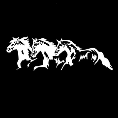 Slow Down For Horses Die Cut Vinyl Decal