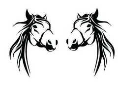 2x Horse CarDecal for Ute Die Cut Vinyl Decal