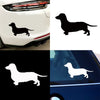 SPRING PARK Cute Dachshund Dog Car-Styling Vehicle Body Window Decals Sticker Decoration | Die Cut Vinyl Decal/ Bumper For Windows, Cars, Trucks, Laptops, Etc.