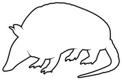 Animal Silhouette Armadillo On White Sticker Die Cut Vinyl Decal