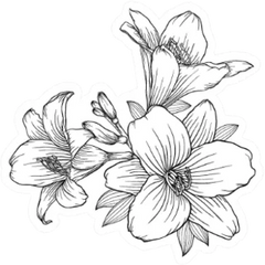 Beautiful Monochrome Black And White Bouquet Lily Sticker Die Cut Vinyl Decal