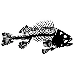 Fish Skeleton Sticker Die Cut Vinyl Decal