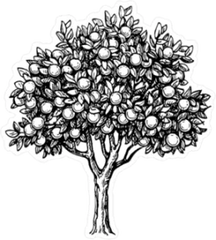 Orange Tree Illustration Sticker Die Cut Vinyl Decal