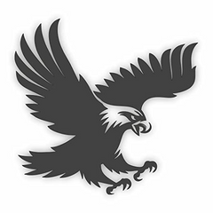 CVANU Black Fly Eagle Nice & Trendy Look Exterior Car Die Cut Vinyl Decal