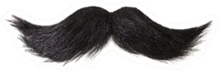 Curly Black Mustache Isolated On White Sticker Die Cut Vinyl Decal
