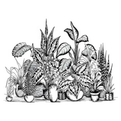 Various House Plants Sticker Die Cut Vinyl Decal