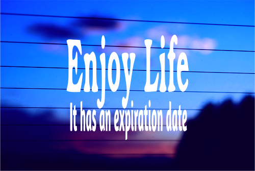 enjoy-life-vinyl-car-decal-die-cut-sticker