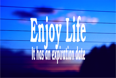 enjoy-life-vinyl-car-decal-die-cut-sticker