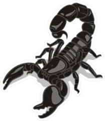 Glossy Black Scorpion Sticker Die Cut Vinyl Decal