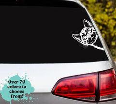Peek-a-Boo Cat Decal Die Cut Vinyl Decal