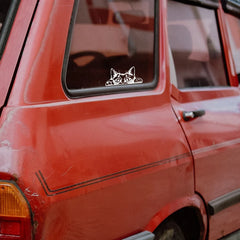 peeking cat car decal | Die Cut Vinyl Decal