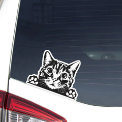 Black & White Cat Car Decal - Die Cut Vinyl Decal