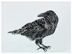 The Black Crow Sticker Die Cut Vinyl Decal
