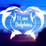 i-love-dolphins-vinyl-decal-on-car-window-bumper
