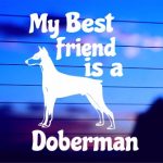 My Best Friend Is a Doberman vinyl die cut decal for cars trucks laptops windows