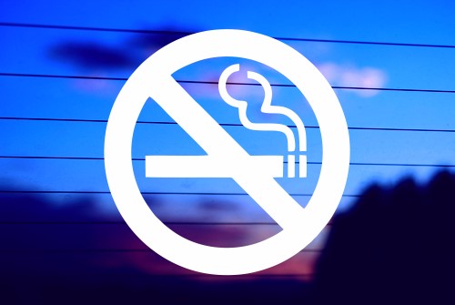No Smoking vinyl die cut decal for cars trucks laptops windows