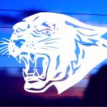 panther-silhouette-vinyl-decal-on-car-window-bumper