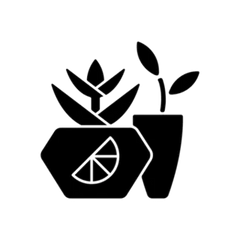 Potted Succulents Transfer Sticker Die Cut Vinyl Decal