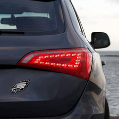 pro‑football‑molded‑emblem‑vinyl‑decal‑on‑car‑window‑bumper