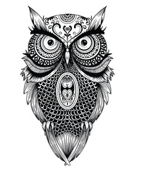 Owl Die Cut Vinyl Decal
