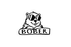 BOBER Car Van EV For Windows, Cars, Trucks, Laptops, Etc.