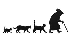 Old Lady With Cats Bumper For Windows, Cars, Trucks, Laptops, Etc.