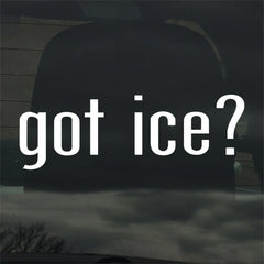 Got Ice? Custom Die Cut Vinyl Decal