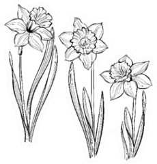 Set Of Spring Flowers Daffodils Isolated On White Sticker Die Cut Vinyl Decal