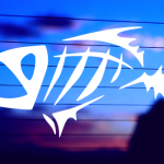 skeleton-fish-vinyl-decal-on-car-window-bumper