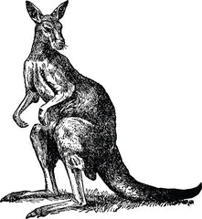 Vintage Kangaroo Die-Cut Vinyl Decal