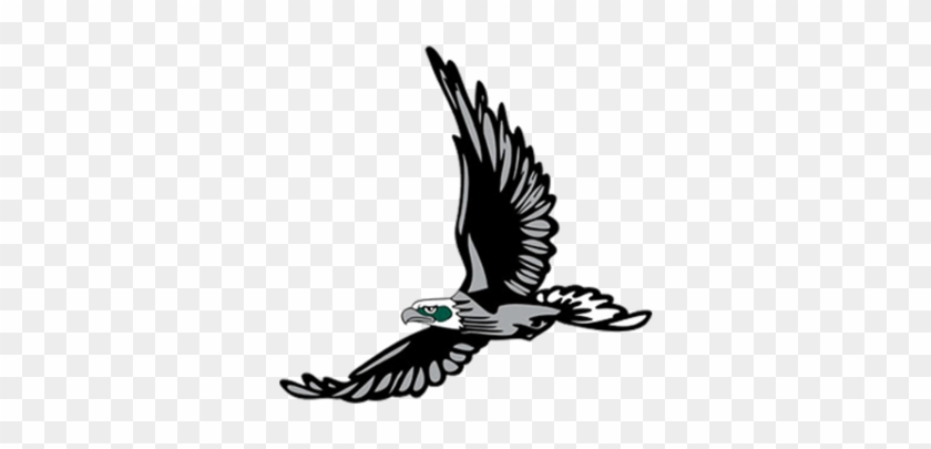 South Walton Logo - Flying Eagle Die Cut Vinyl Decal