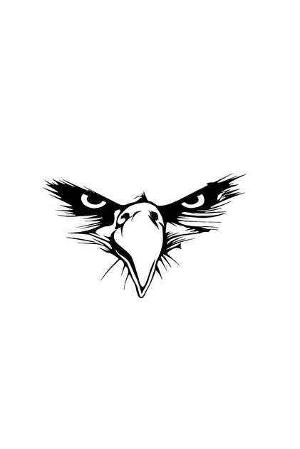 MegaSticker Eagle Eye Die Cut Vinyl Decal