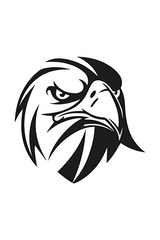 MegaSticker Angry Looking Eagle Car Die Cut Vinyl Decal