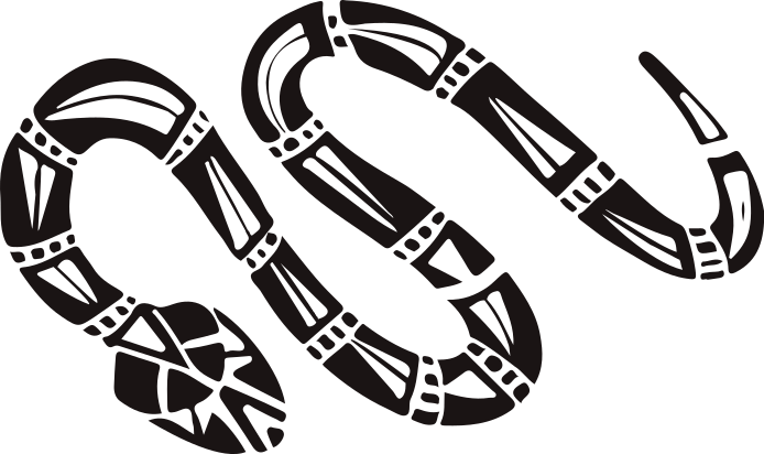 Snake decoration Car Decal Die Cut Vinyl Decal