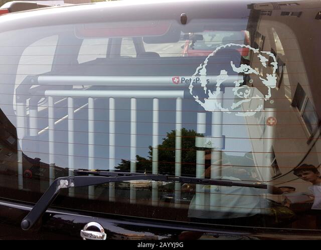 dog transport box and dog sticker Die Cut Vinyl Decal