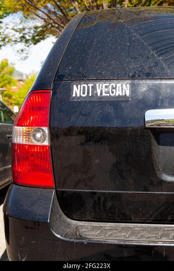 Not Vegan sticker Die Cut Vinyl Decal