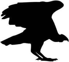 Ranger Products Vulture Condor Bird of Prey Decal Sticker For Windows, Cars, Trucks, Laptops, Etc.