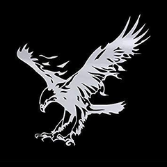 ISEE 360® Car Die Cut Vinyl Decal